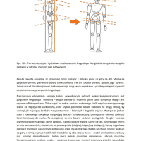 ciało a zgryz 10